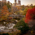 Central Park: Through the Seasons