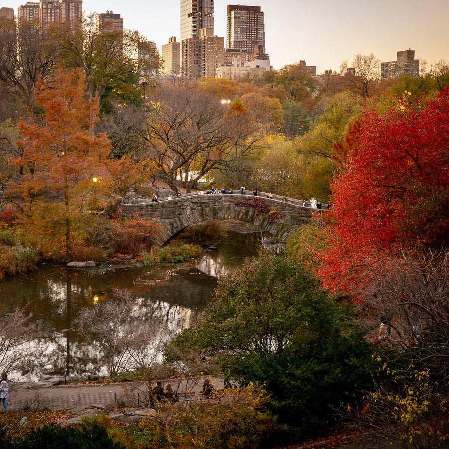 Central Park: Through the Seasons